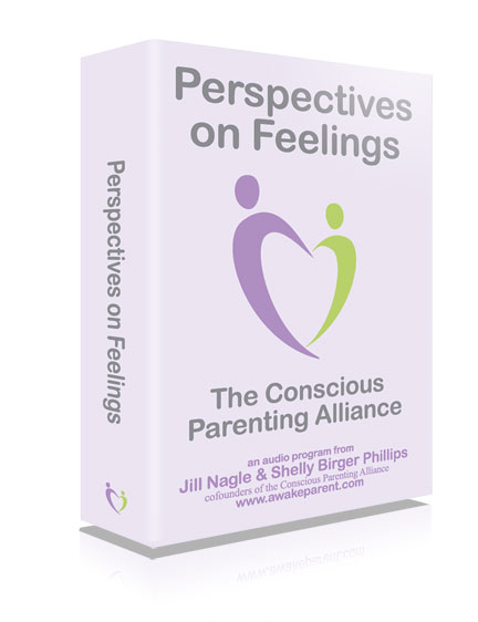 Perspectives on Feelings Box
